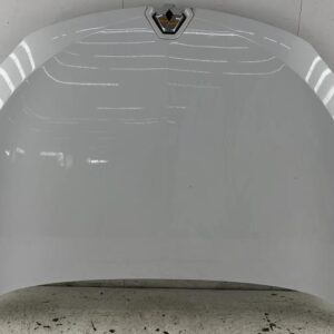 Capot RENAULT MEGANE 3 SOCIETE PHASE 2