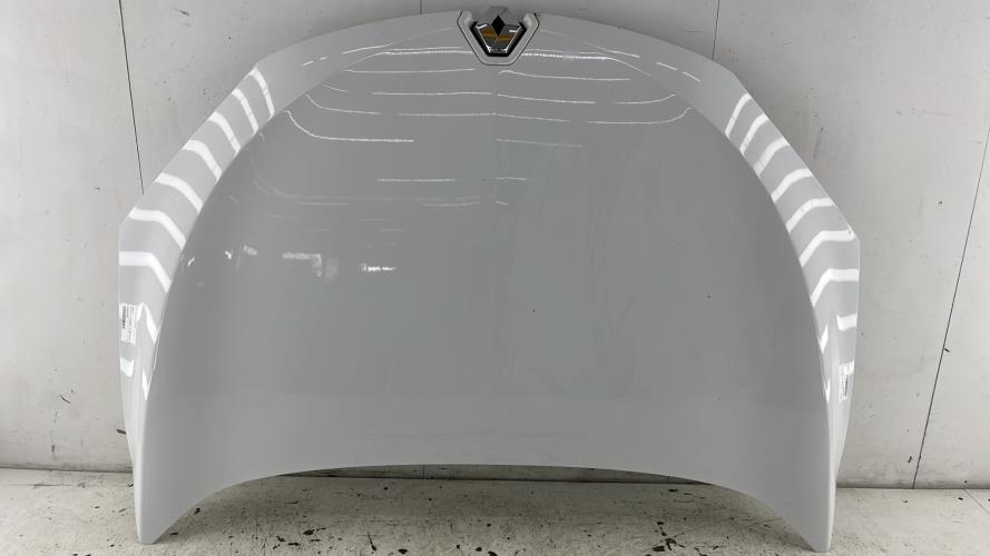 Capot RENAULT MEGANE 3 SOCIETE PHASE 2