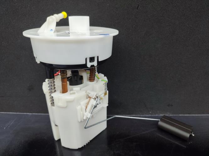 Pompe immergee FORD FIESTA 6 PHASE 1 Essence