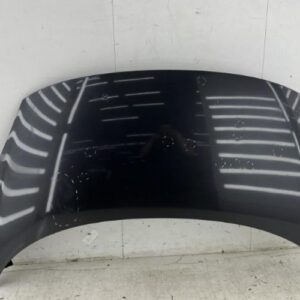 Capot RENAULT SCENIC 3 PHASE 1 Diesel