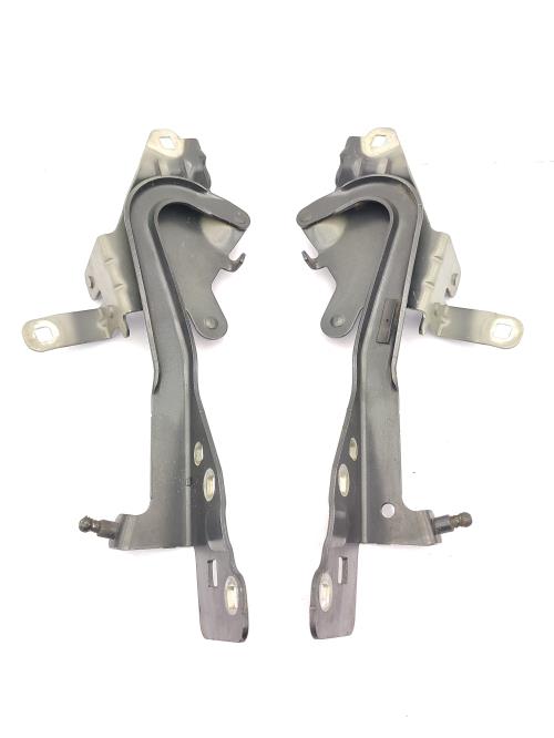 Charniere de capot RENAULT SCENIC 3 PHASE 1 Diesel