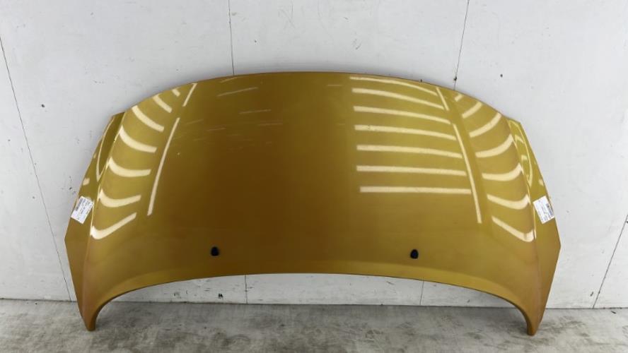 Capot PEUGEOT 207 PHASE 1 Diesel