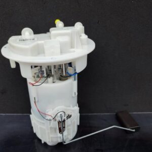Pompe immergee CITROEN C3 PICASSO PHASE 1 Essence