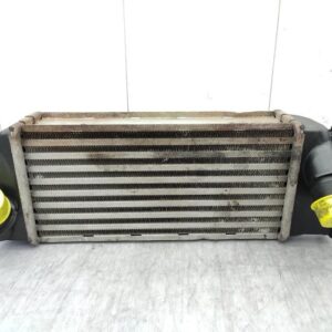 Echangeur air (Intercooler) FIAT 500 2 CABRIO PHASE 1 Diesel