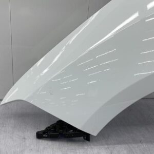 Aile avant gauche RENAULT MEGANE 5 Electricité