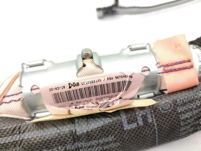 Air bag rideau droit CITROEN C3 2 PHASE 1 Diesel
