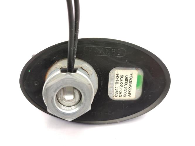 Antenne CITROEN C5 2 BREAK Diesel