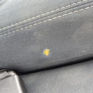 Banquette arriere FORD C-MAX 2 PHASE 1 Diesel