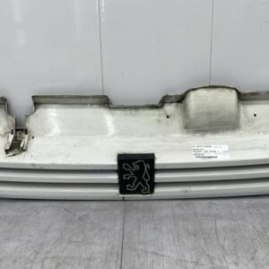 Calandre PEUGEOT 405 PHASE 1 Essence