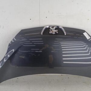 Capot PEUGEOT 107 PHASE 1 Diesel
