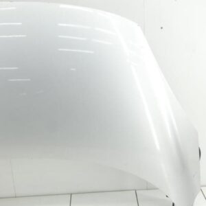 Capot RENAULT SCENIC 3 PHASE 1 Diesel