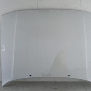 Capot RENAULT R21 PHASE 2 Essence