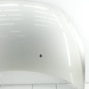Capot PEUGEOT 307 PHASE 1 Diesel
