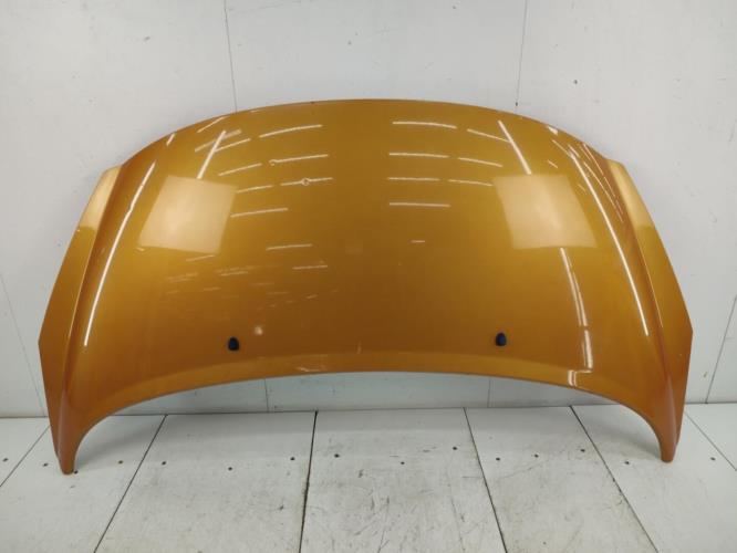 Capot PEUGEOT 207 PHASE 1 Essence