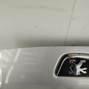 Capot PEUGEOT BIPPER Diesel