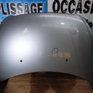Capot PEUGEOT 307 PHASE 1 Essence