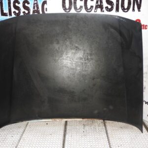 Capot RENAULT R21 PHASE 2 Essence