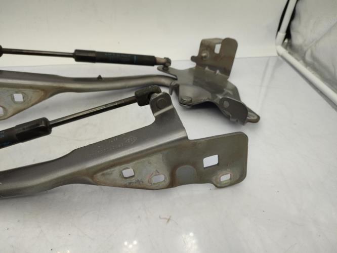 Charniere de capot RENAULT SCENIC 3 PHASE 1 Diesel