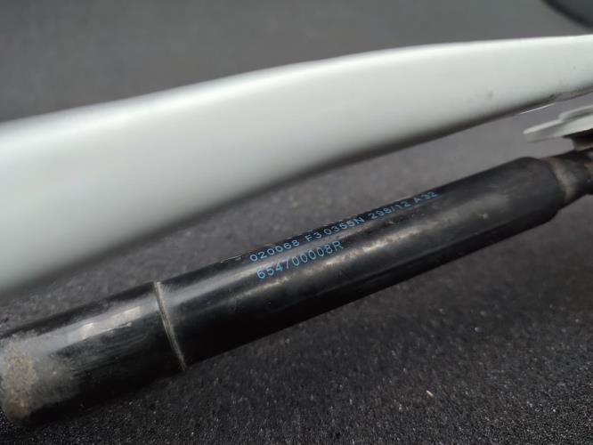 Charniere de capot RENAULT SCENIC 3 PHASE 2 Diesel