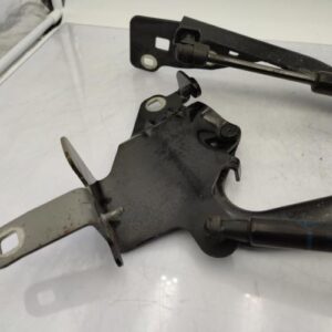 Charniere de capot RENAULT SCENIC 3 PHASE 3 Diesel