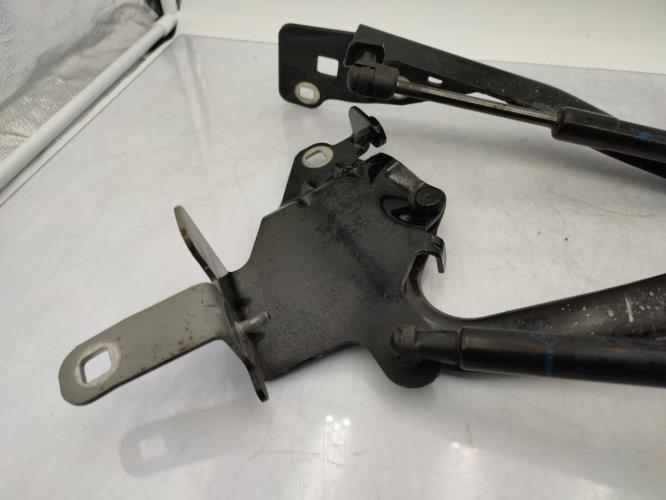 Charniere de capot RENAULT SCENIC 3 PHASE 3 Diesel