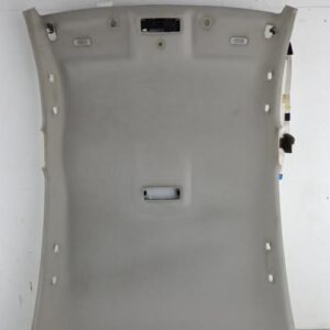 Ciel de toit RENAULT LAGUNA 3 PHASE 1 Diesel