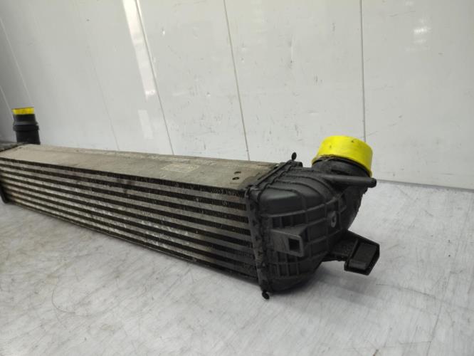 Echangeur air (Intercooler) RENAULT LAGUNA 3 PHASE 1 Diesel