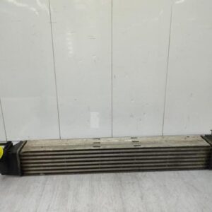 Echangeur air (Intercooler) RENAULT GRAND SCENIC 3 PHASE 1 Diesel