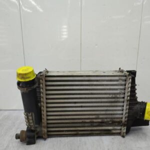 Echangeur air (Intercooler) DACIA DUSTER 1 PHASE 2 Essence