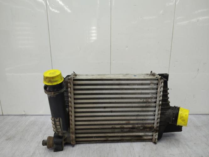 Echangeur air (Intercooler) DACIA DUSTER 1 PHASE 2 Essence