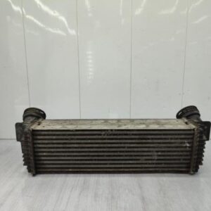 Echangeur air (Intercooler) BMW X5 E70 PHASE 2 Diesel