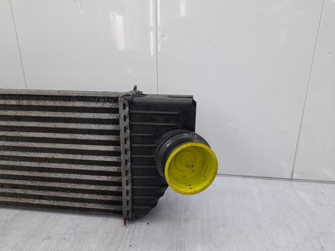 Echangeur air (Intercooler) OPEL MOVANO B Diesel