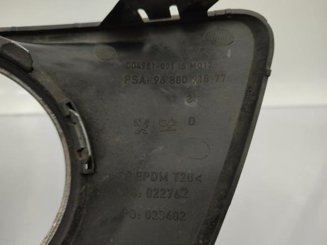 Enjoliveur anti brouillard PEUGEOT 207 PHASE 2 Diesel