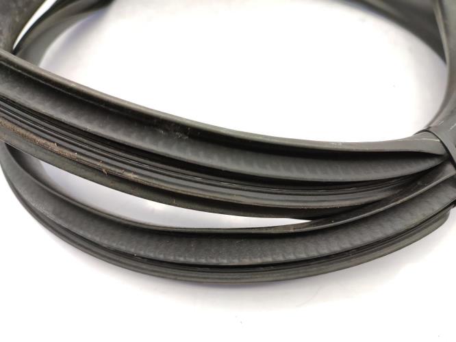 Joint de porte avant gauche RENAULT GRAND SCENIC 3 PHASE 3 Diesel