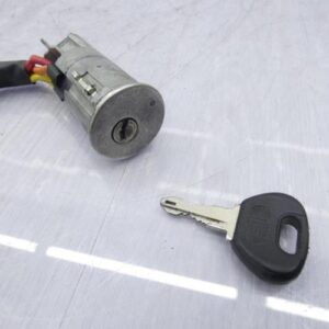 Neiman RENAULT R21 PHASE 2 Essence