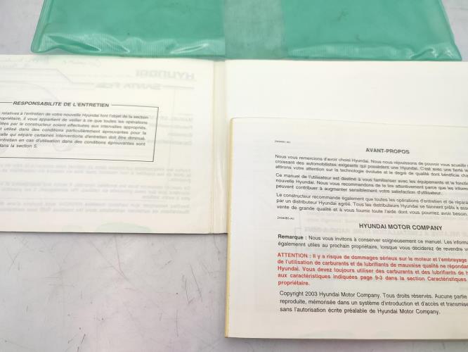 Notice d'utilisation HYUNDAI SANTA FE 1 Diesel