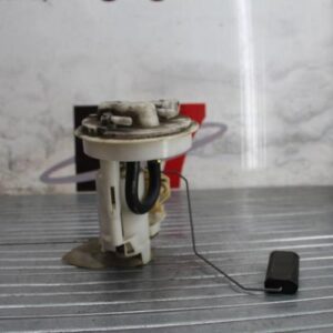 Pompe immergee RENAULT