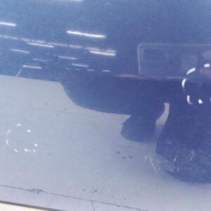 Porte arriere gauche PEUGEOT 306 PHASE 1 Diesel