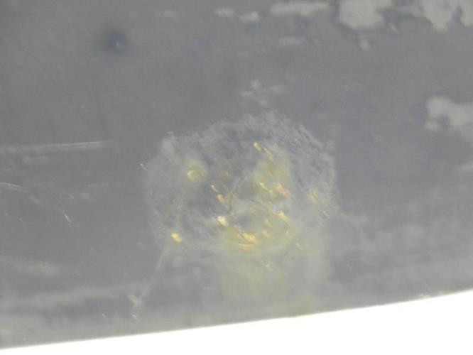 Porte de coffre droit DACIA LOGAN MCV 1 PHASE 2 BREAK Ethanol