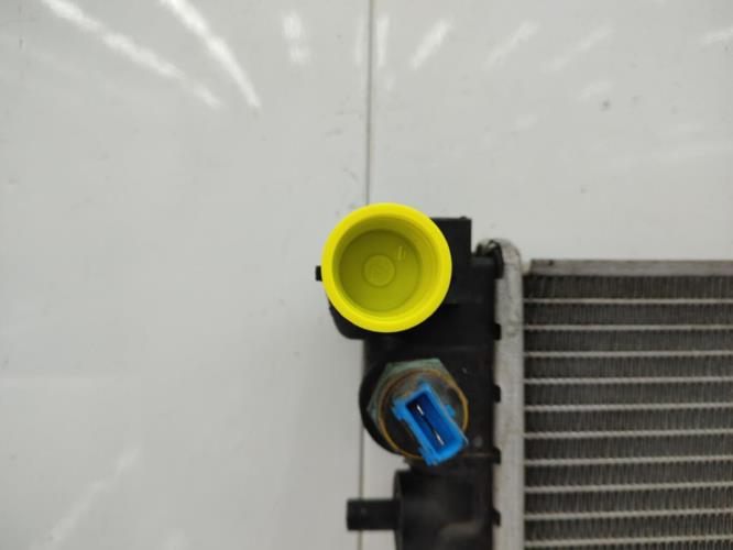 Radiateur eau PEUGEOT 106 PHASE 2 Diesel