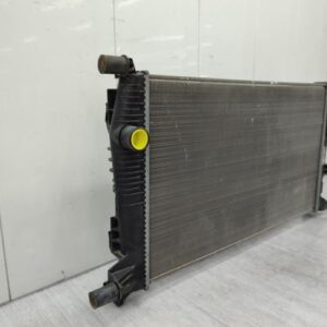 Radiateur eau RENAULT SCENIC 3 PHASE 3 Diesel