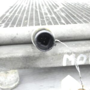 Radiateur eau RENAULT CLIO 3 PHASE 1