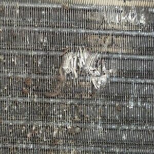 Radiateur eau TOYOTA AYGO 1 PHASE 1 Essence