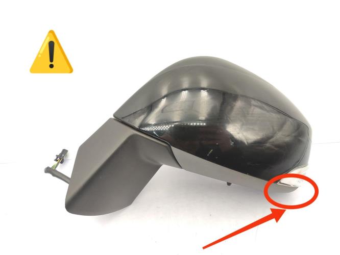 Retroviseur gauche RENAULT SCENIC 3 PHASE 3 Diesel