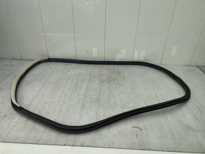 Joint de porte arriere gauche RENAULT TALISMAN Essence/Hybride