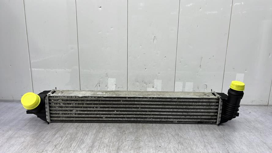 Echangeur air (Intercooler) RENAULT LAGUNA 3 PHASE 2 Diesel