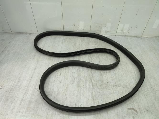 Joint de porte avant gauche RENAULT SCENIC 4 Essence/Hybride