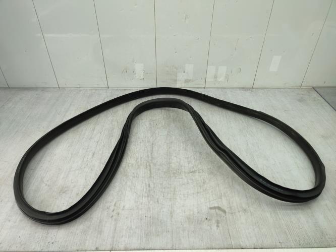 Joint de porte arriere gauche RENAULT SCENIC 4 Essence/Hybride