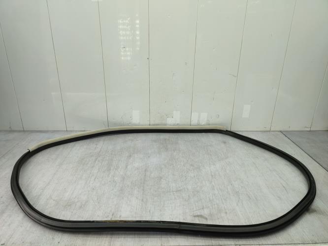 Joint de porte avant droite RENAULT TALISMAN Diesel