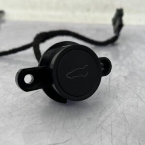 Bouton/Interrupteur TESLA MODEL 3 5YJ3 Electricité